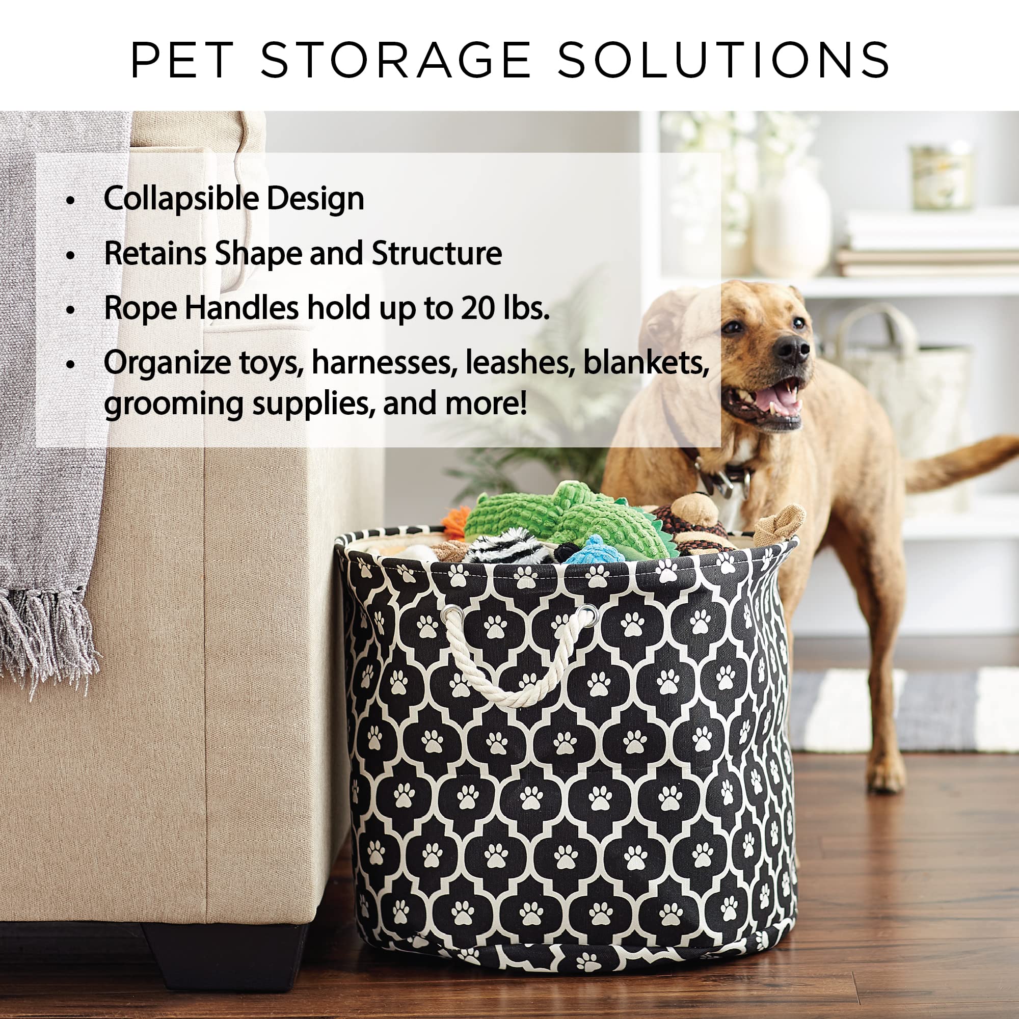 Bone Dry Pet Storage Collection Striped Paw Patch Bin, Aqua, Small Rectangle