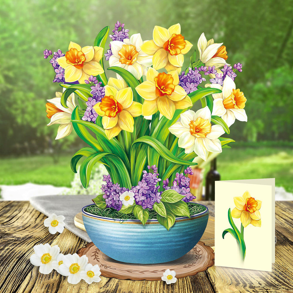 Airpark 3D Pop Up Paper Flowers Bouquet Card 12’‘ with Note & Envelope, Birthday Gifts, Get Well, Thank You, Greeting Cards for Women Mom Wife Friends, Daisies and Butterflies