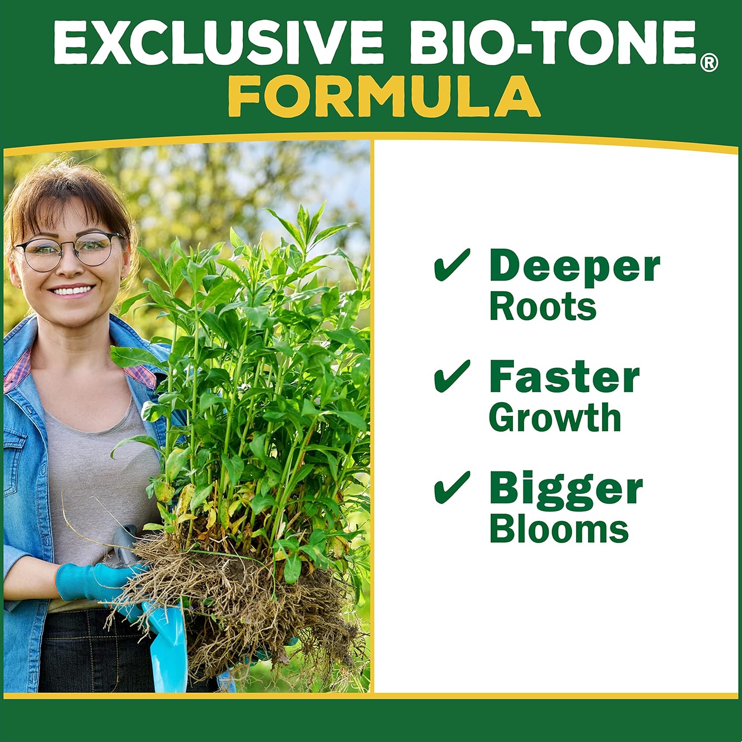Espoma Organic Holly-Tone 4-3-4 Natural & Organic Evergreen & Azalea Plant Food; 36 lb. Bag; The Original & Best Fertilizer for All Acid Loving Plants Including Rhododendrons & Hydrangeas.