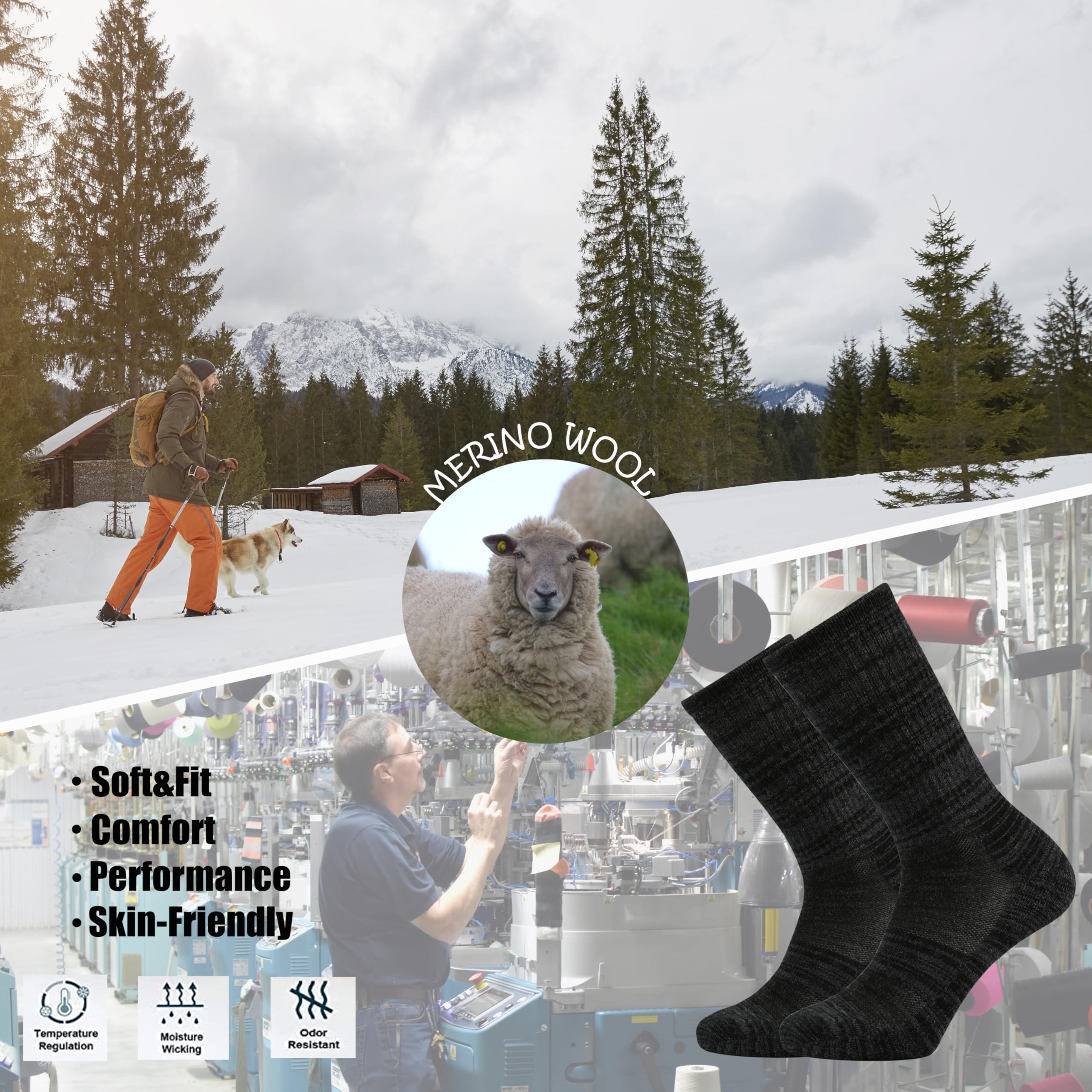 Ortis Men's Extra-Fine Merino Wool Cushioned Crew Socks with Light Weight Moisture Control Comfy for Men Outdoor Hiking Hiker
