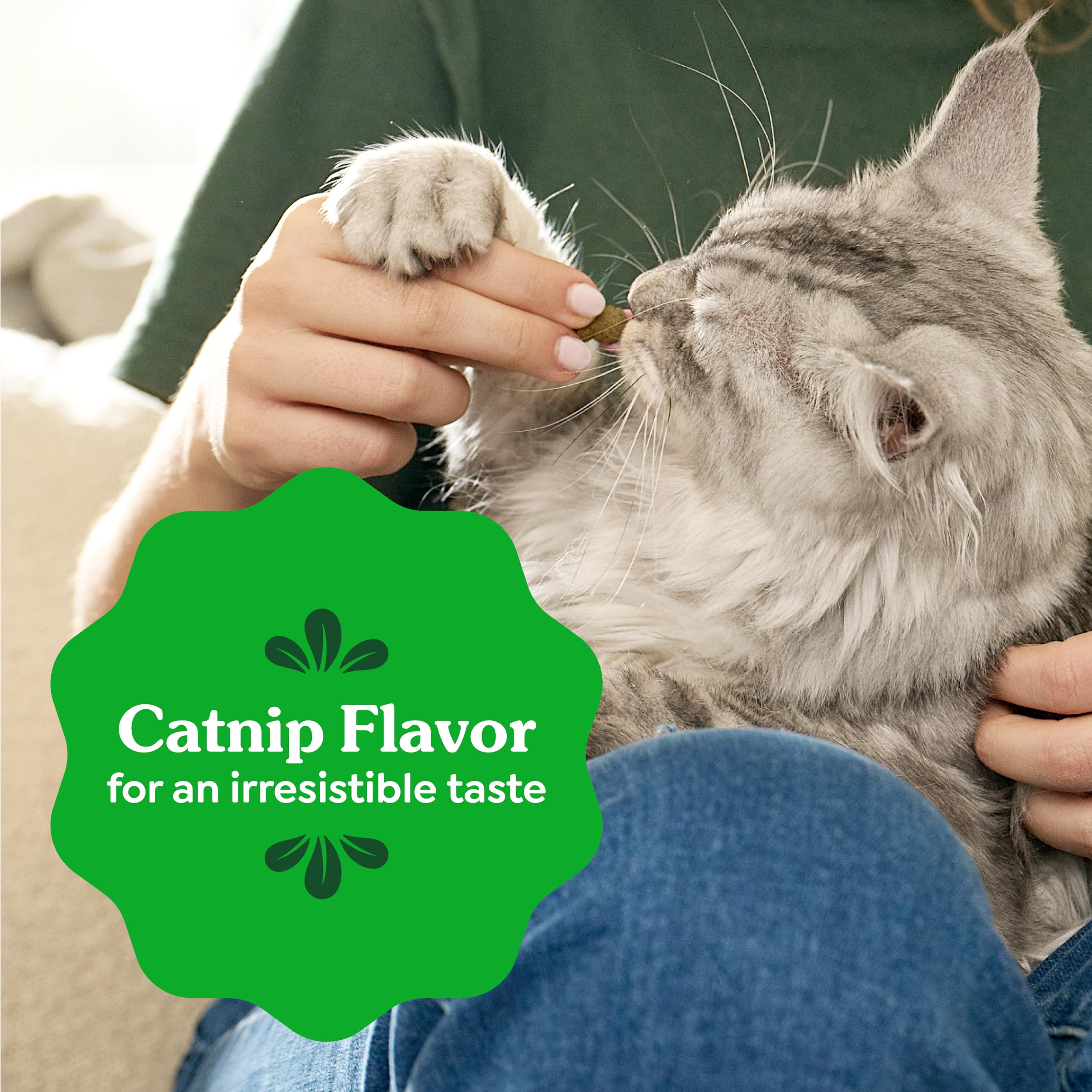 Greenies Cat Treats, Feline Veterinarian-Recommended Adult Natural Dental Treats, Catnip Flavor, 2.1 oz. Pouch