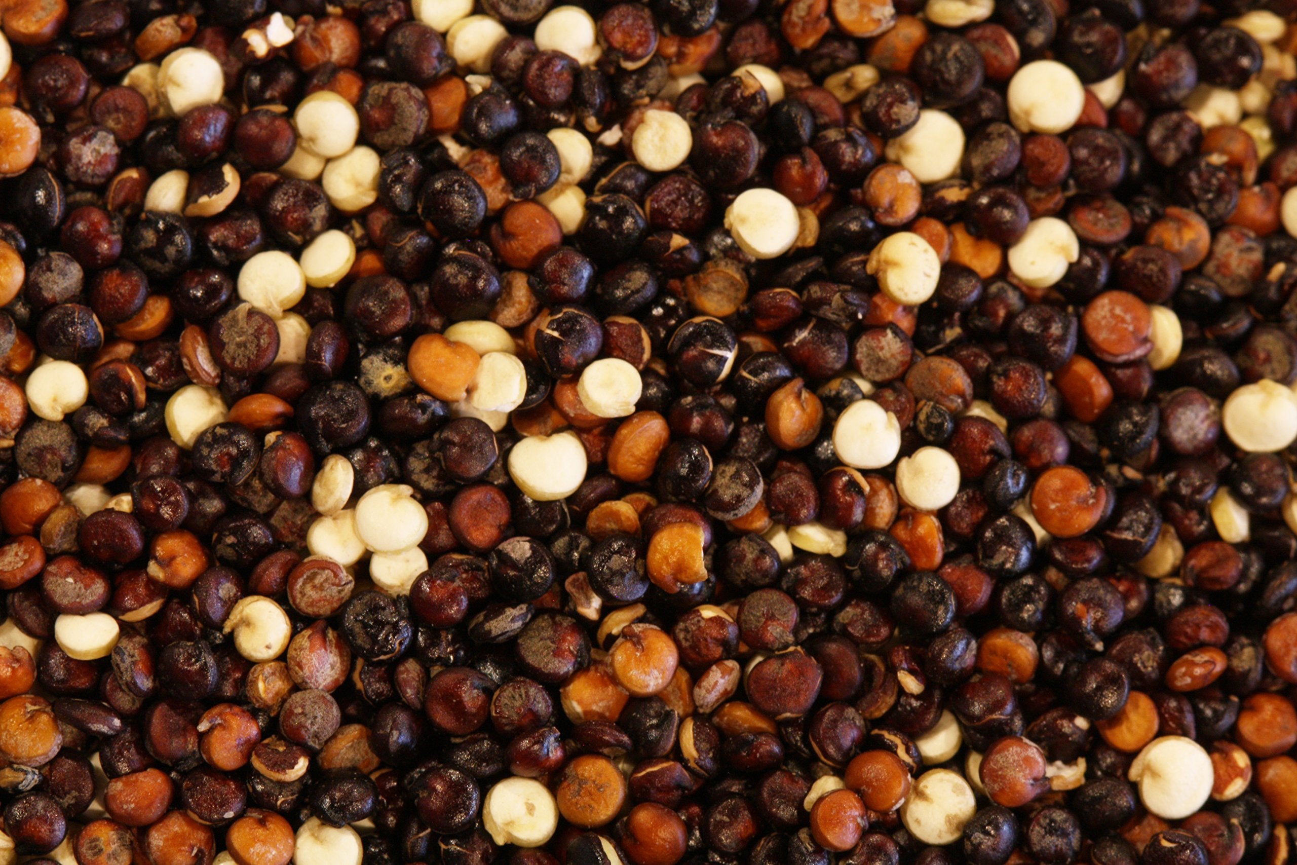 Yupik Organic Tri-Color Quinoa, 2.2 lb (35.2 oz), Non-GMO, Kosher, Raw Seeds, White, Red & Black Quinoa, Unsalted, Oil-Free, Source of Fiber & Iron, Ideal Rice & Pasta Replacement