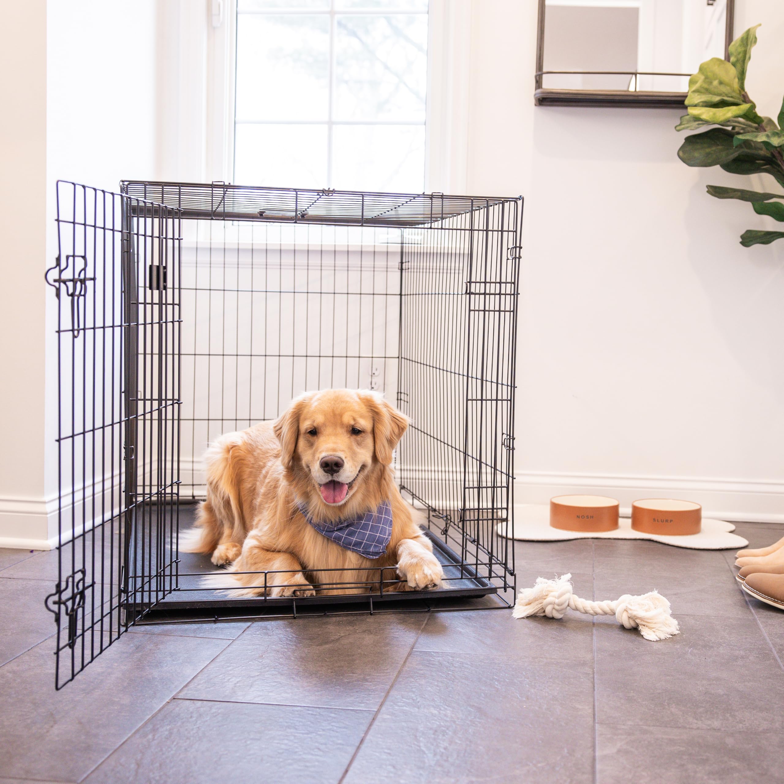 Carlson Secure and Compact Double Door Metal Dog Crate, Medium with Divider Panel