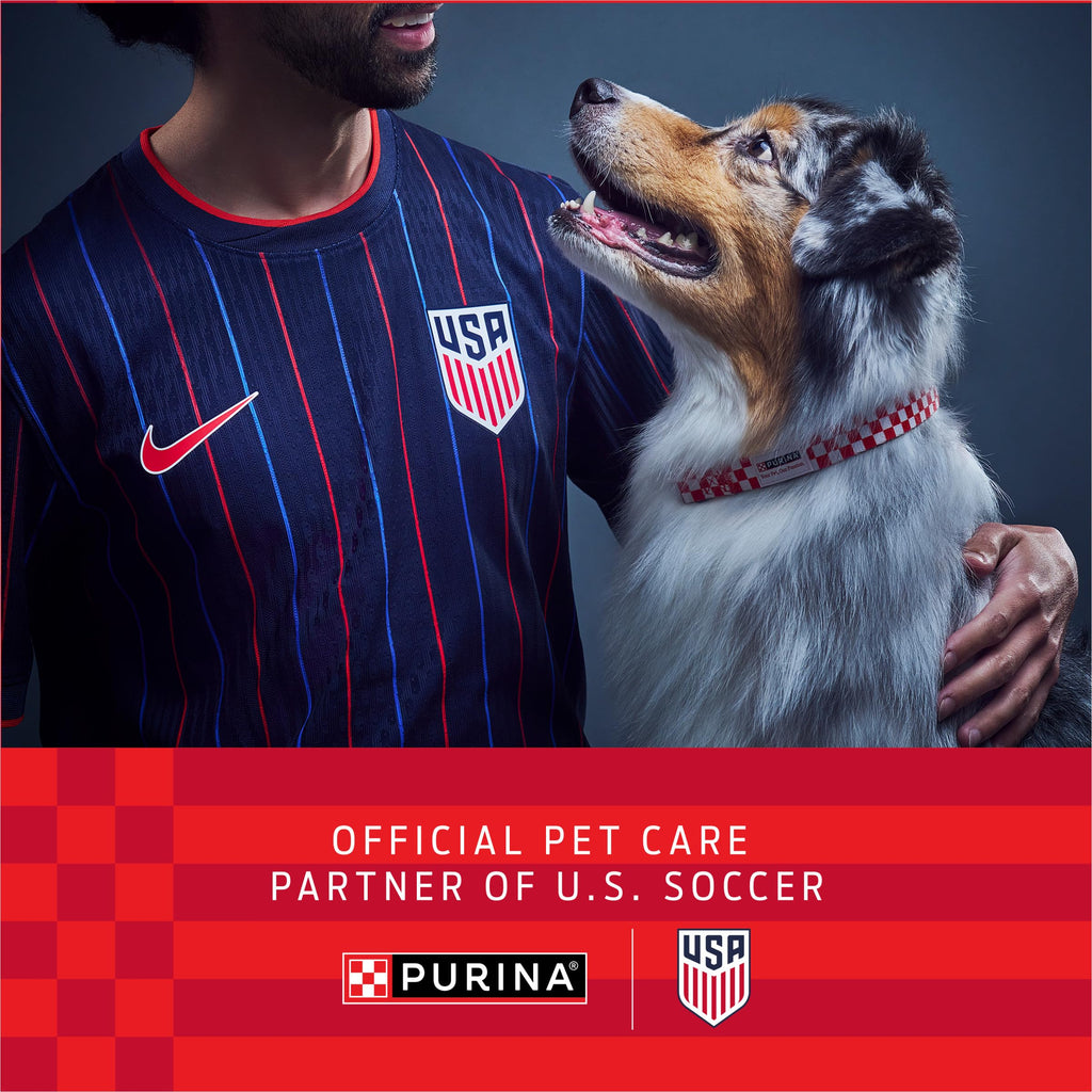 Purina ONE Natural High Protein Dry Dog Food Dry True Instinct with Real Beef and Salmon With Bone Broth and Added Vitamins, Minerals and Nutrients - 15 lb. Bag