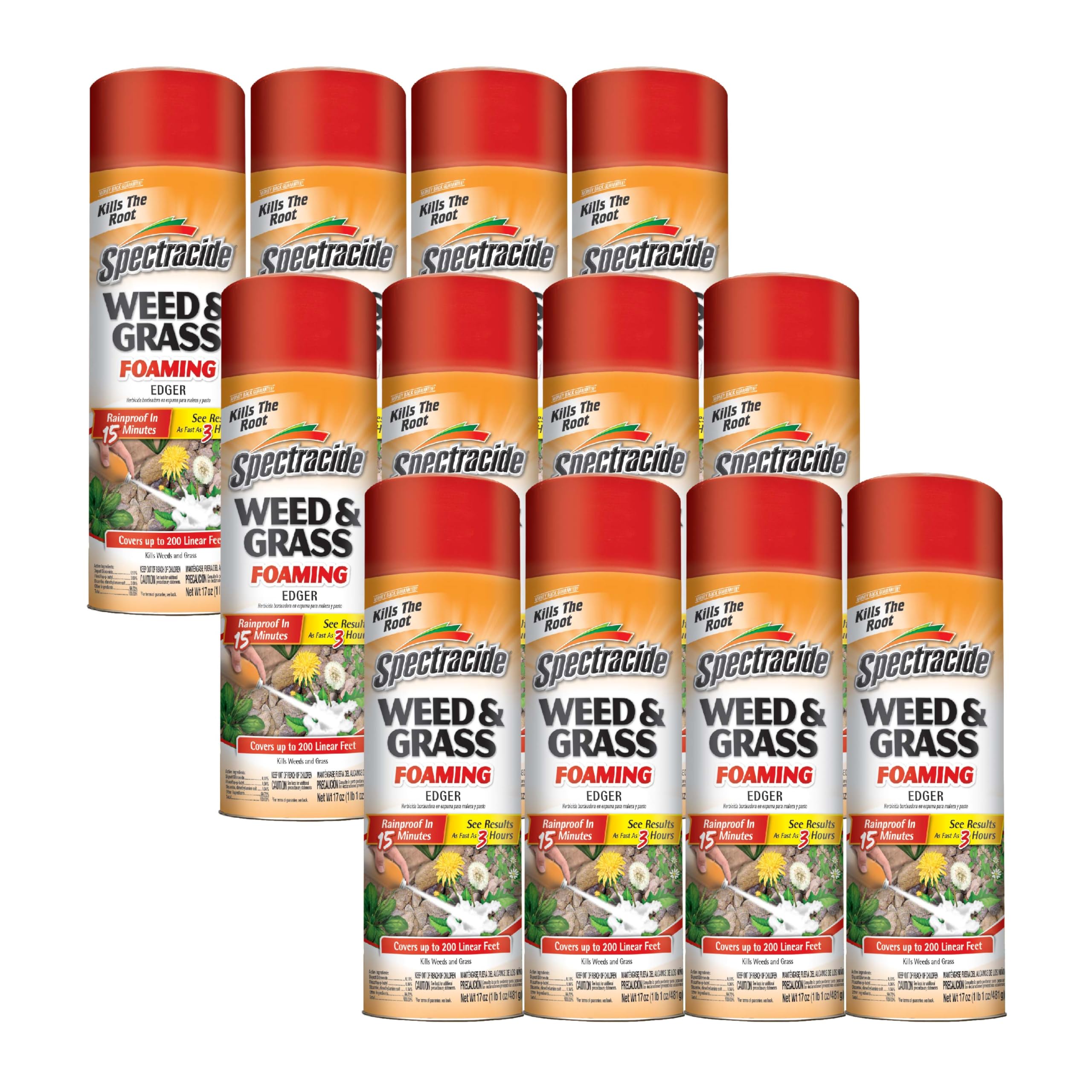 Spectracide Weed & Grass Foaming Edger (17 oz), 1 Count