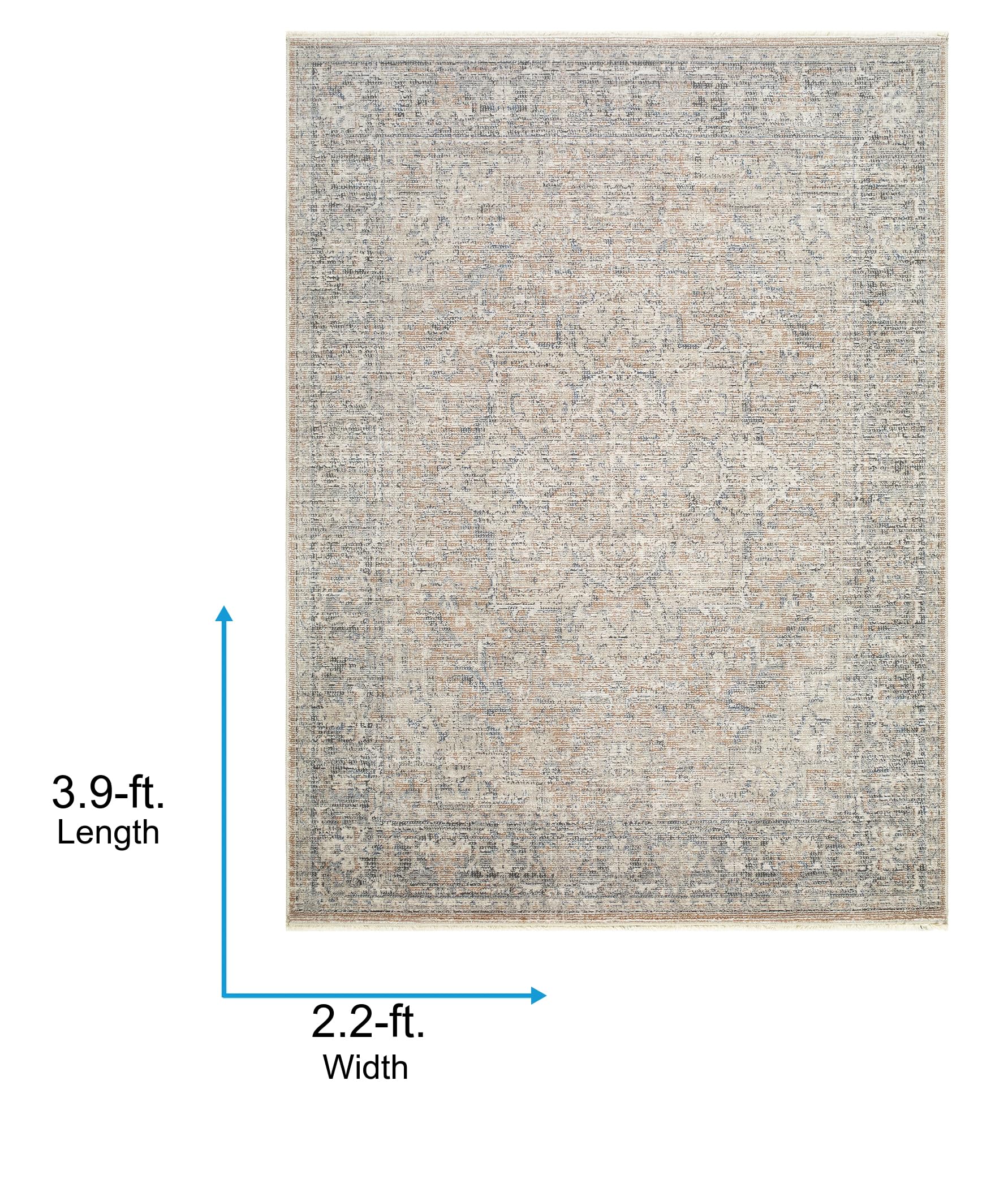 Livabliss x Galey Alix Maria Elena III Vintage Medallion Area Rug, 5'3" x 7' (5' x 7'), Brown