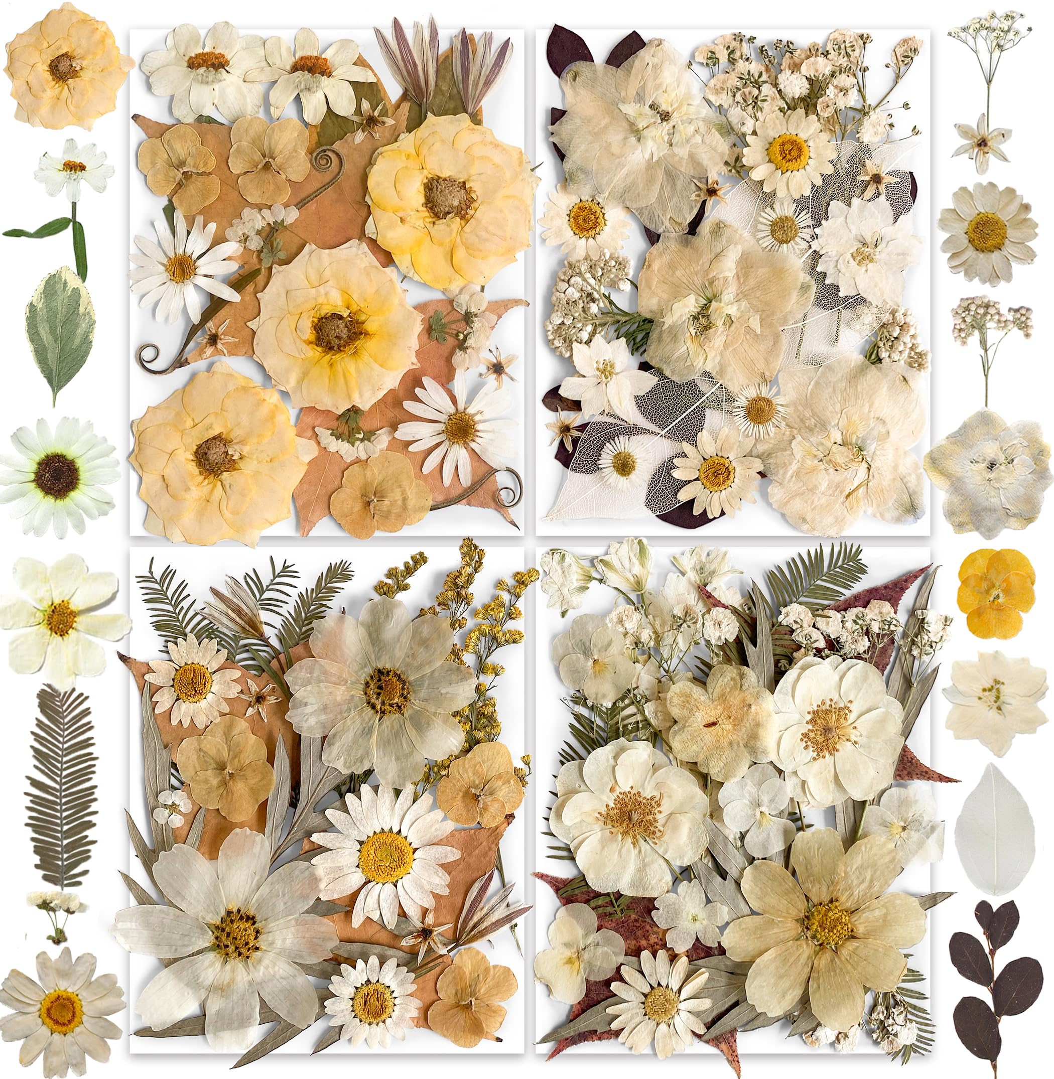 96PCS Vintage White Dried Pressed Flowers for Resin Craft - YouthBro Real Nature Flowers Set with 50 PCS Butterfly Stickers for DIY Scrapbook Art Floral Decors