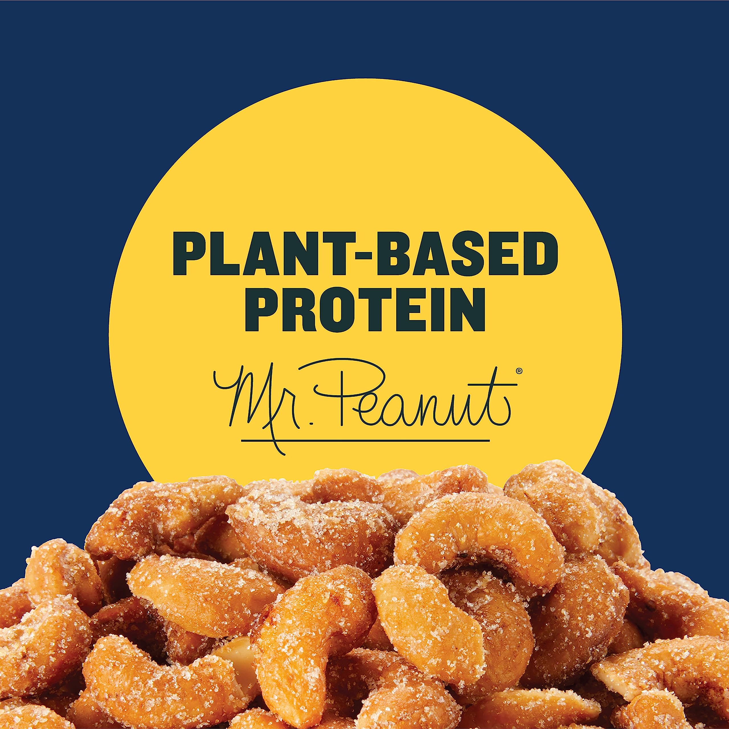 PLANTERS Deluxe Lightly Salted Whole Cashews, 18.25 oz. Resealable Container - Lightly Salted Cashews & Lightly Salted Nuts - Snacks for Adults & Kids - Vegan Snacks, Kosher