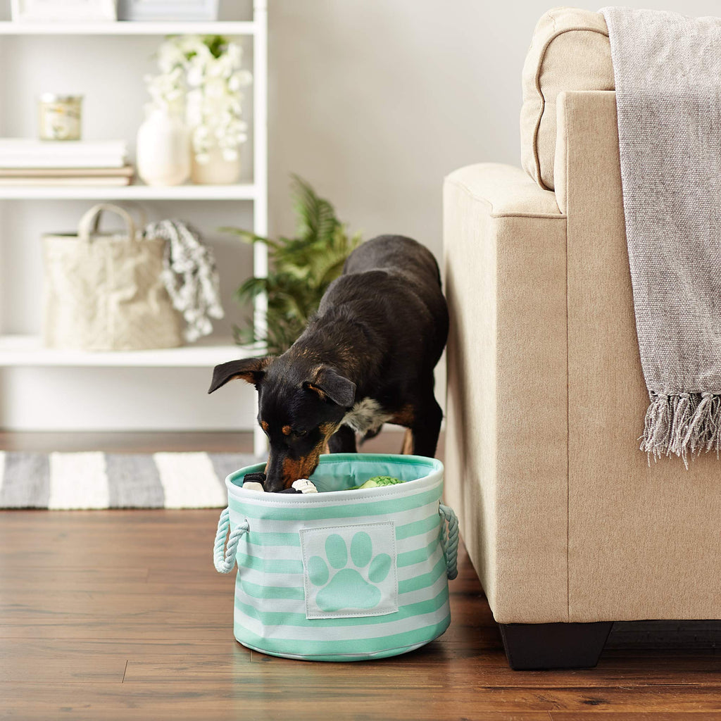 Bone Dry Pet Storage Collection Striped Paw Patch Bin, Aqua, Small Rectangle