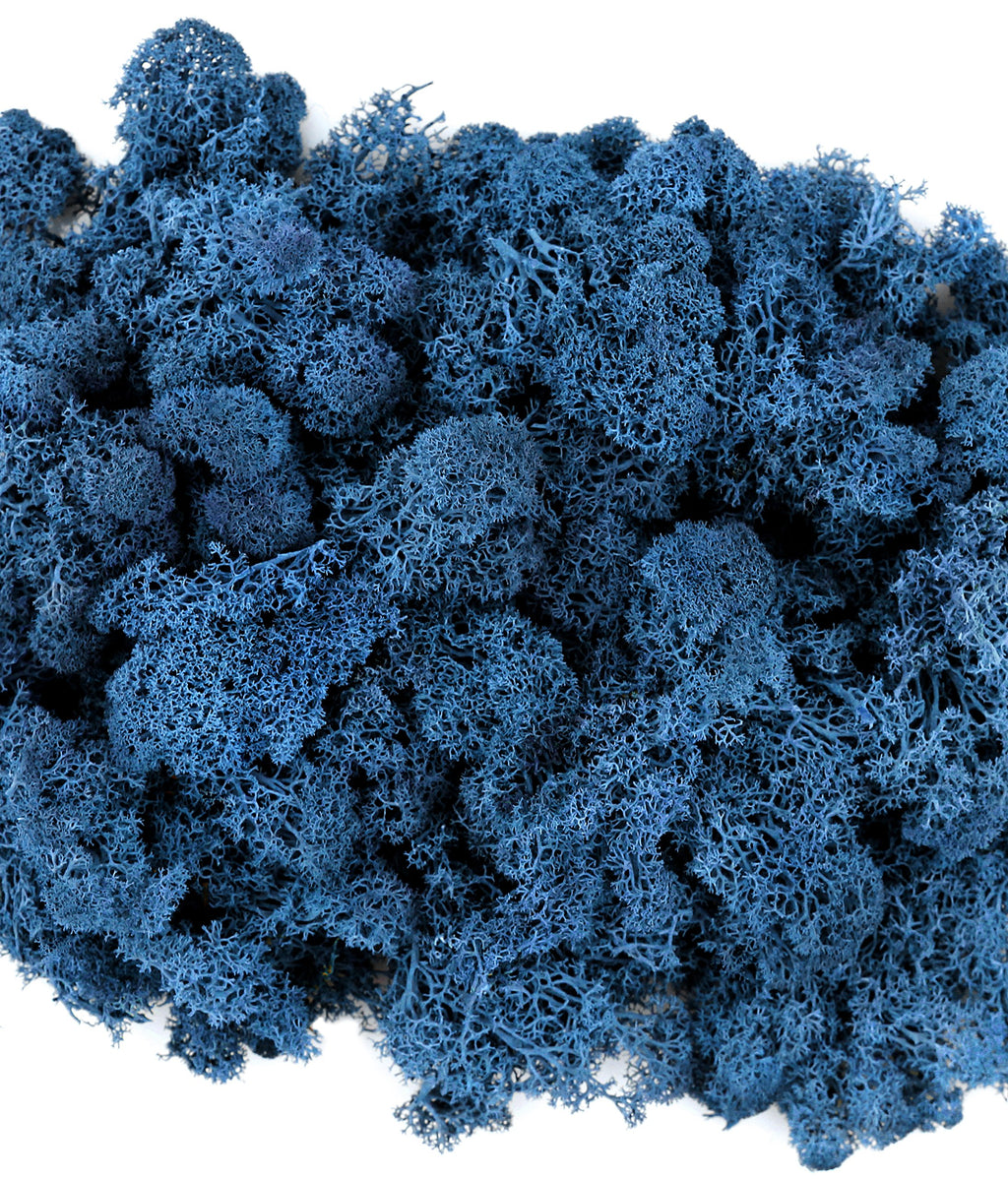 SuperMoss 21786 Reindeer Moss Preserved Black, Appx. 3 lb Bulk Case