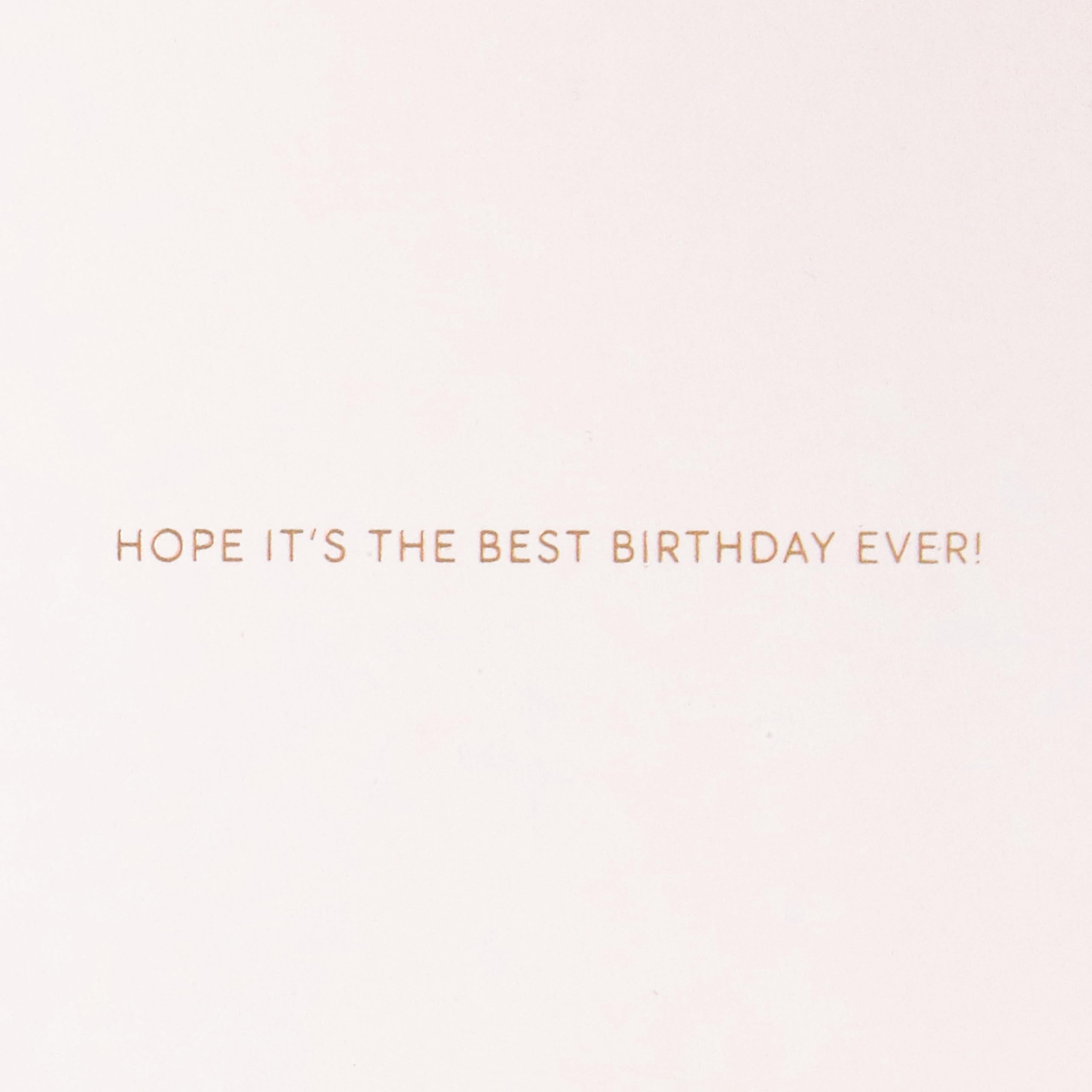 Hallmark Signature Birthday Card (Best Birthday Ever)
