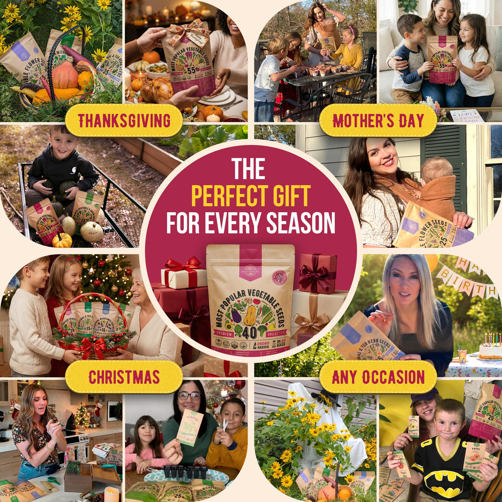 20 Vegetable Seeds Variety Pack - 12,465+ Non-GMO Heirloom Seeds for Planting Vegetables and Fruits in Individual Seed Packets, Home Garden Seed for Hydroponic, Indoor and Outdoors Gardening