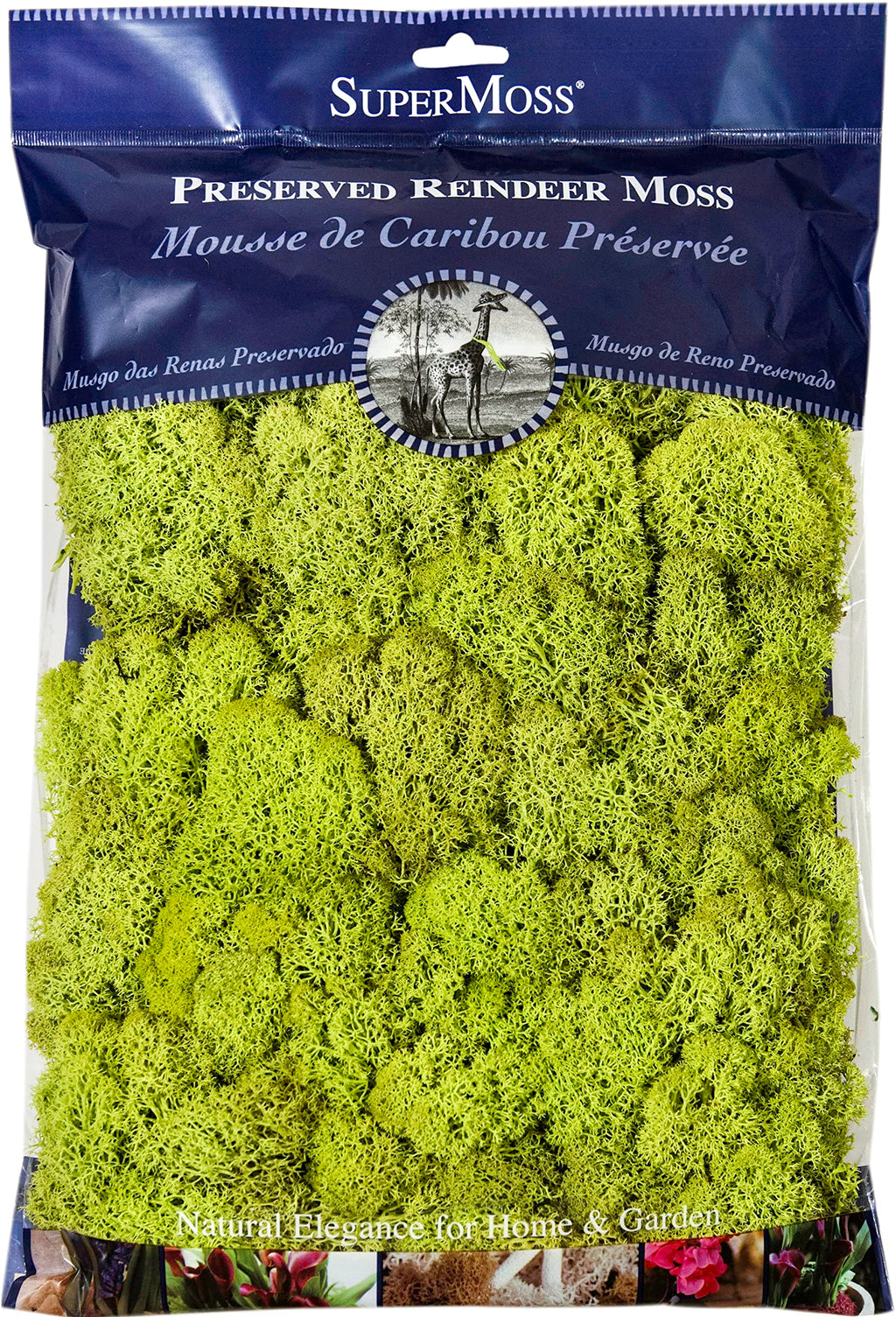 SuperMoss 21786 Reindeer Moss Preserved Black, Appx. 3 lb Bulk Case