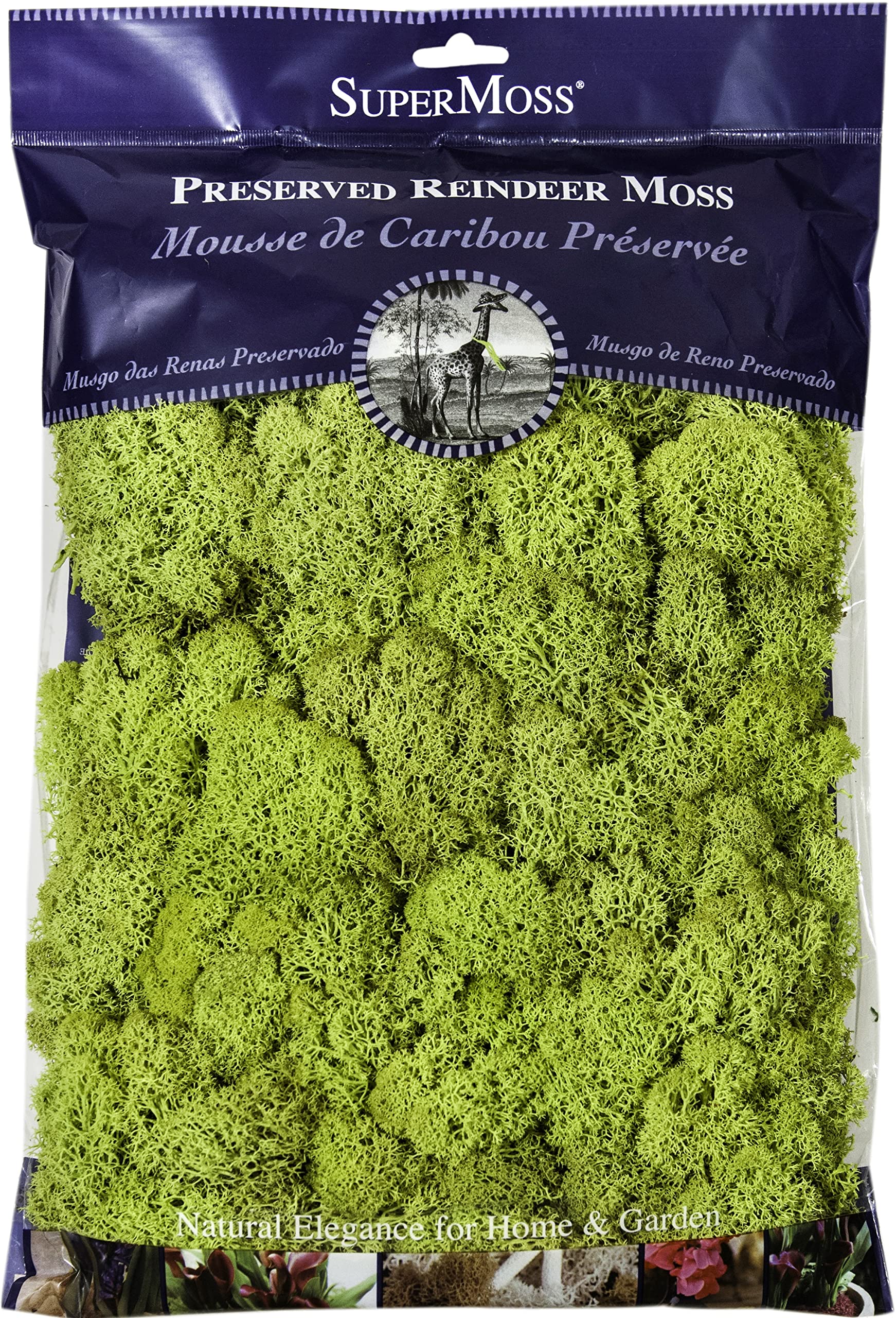 SuperMoss 21786 Reindeer Moss Preserved Black, Appx. 3 lb Bulk Case